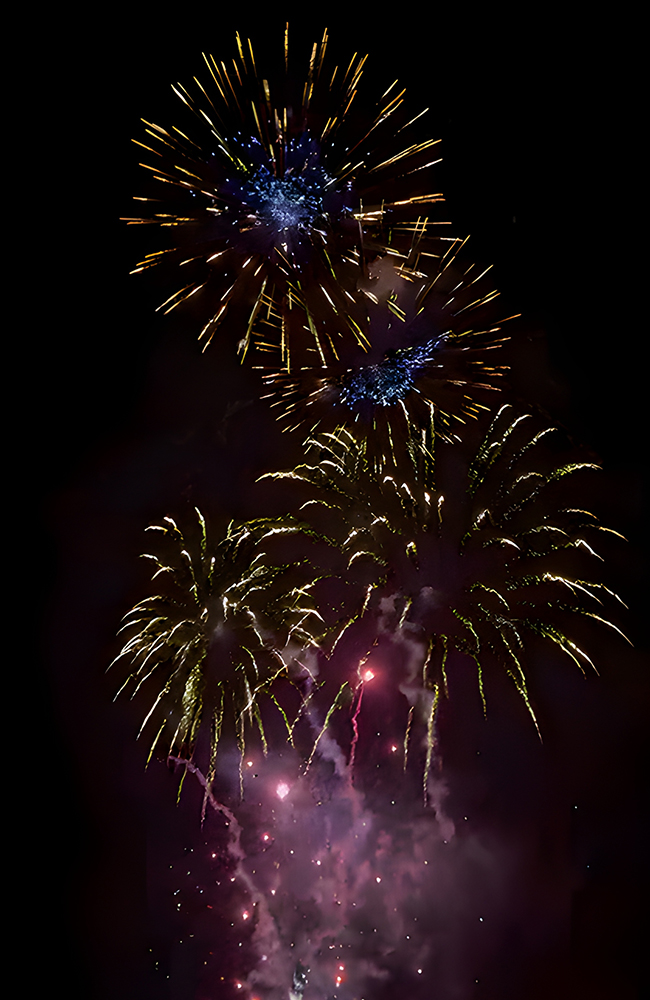 Chinese New Year Celebration